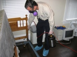 gallery/bed-bug-pest-control-service-250x250